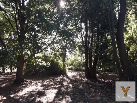 Terreno en Venta 56  mts Fondo