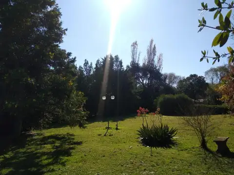 312 e/ 50 y 302 - El Rodeo