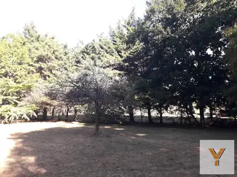 Terreno en Venta 56  mts Fondo