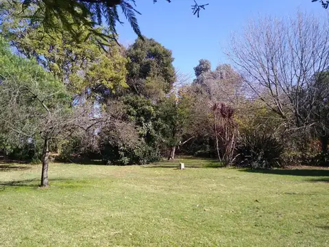 Terreno en Venta 40  mts Frente