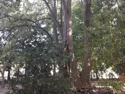 Terreno en Venta de 2242,0 m2
