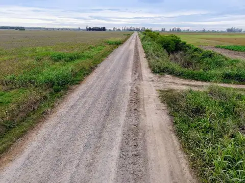 Campo productivo en Fighiera con 25 hectareas