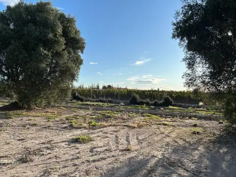 Terreno en Venta en Las Paredes, USD 28.000