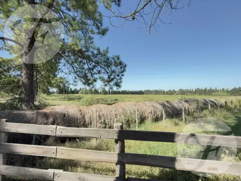 Camino Real Gobernador Castro