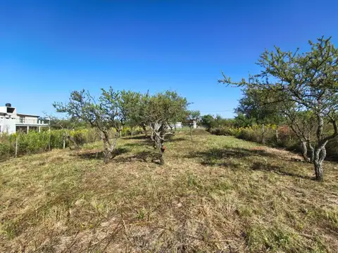 Terreno en Venta de 900,0 m2