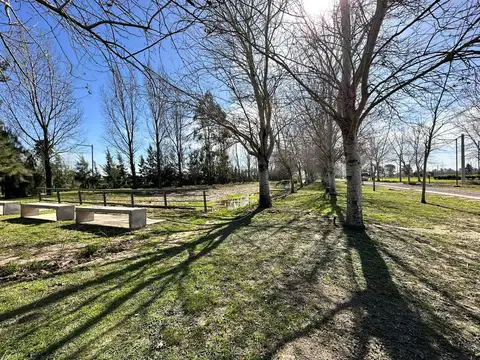 TERRENO EN VENTA EN PINARES DEL SUR - PIÑERO 