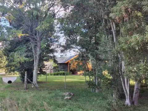 EL PINAR 100