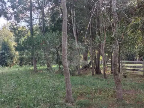 LOTE ARBOLADO EN ESQUINA A PASOS DE LA LAGUNA DE CHASCOMUS