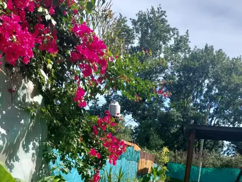 Casa en Alquiler 20 años
