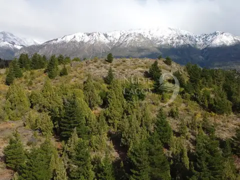 RP A15, Epuyén