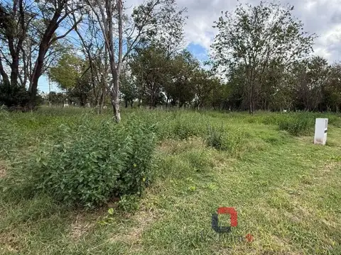 Terreno en Venta de 250,0 m2