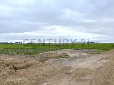CAMPO 13,5 HA - VENADO TUERTO