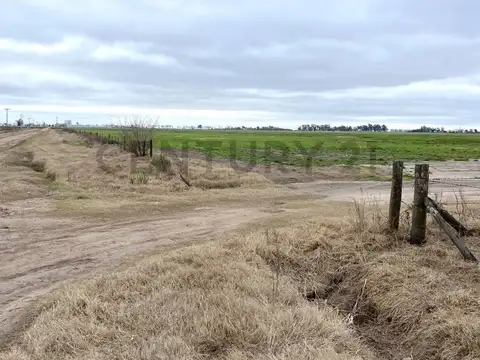 CAMPO 13,5 HA - VENADO TUERTO
