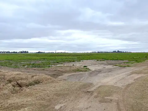 CAMPO 13,5 HA - VENADO TUERTO