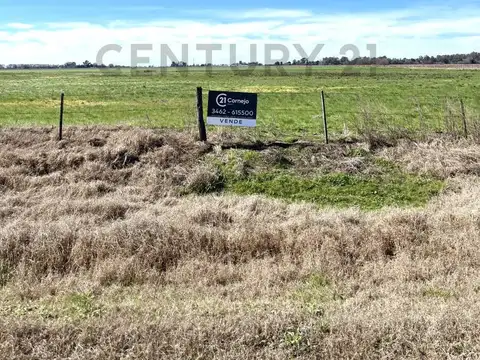 CAMPO 13,5 HA - VENADO TUERTO