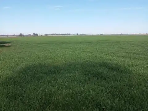 Campo 11 has próximo autopista 