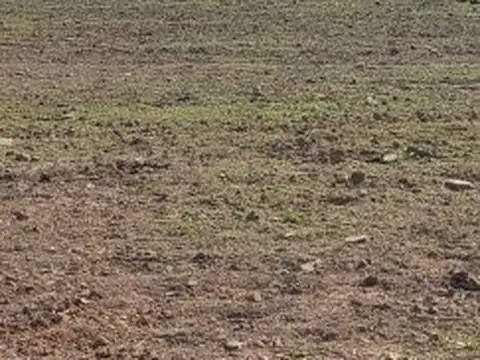 Terreno en Venta 12  mts Frente