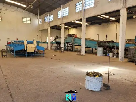 Amplio galpón zona Villa Zorraquín, Osvaldo Magnasco