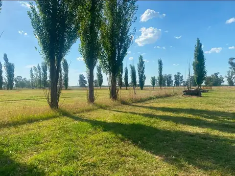 Venta de Campo 4 Hectáreas en Mercedes - 