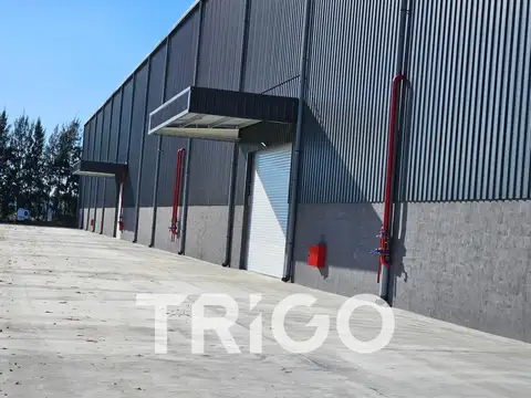 Galpon en Alquiler 80  mts Frente