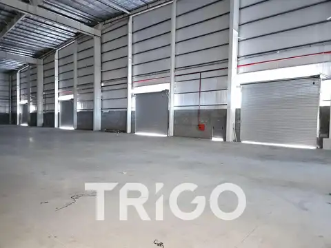 Galpon en Alquiler A Estrenar