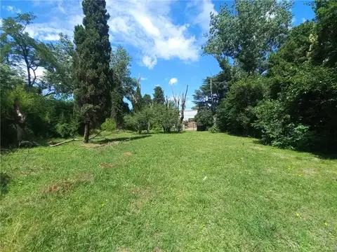 Alberto Grande al 1200