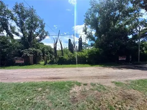 Alberto Grande al 1200