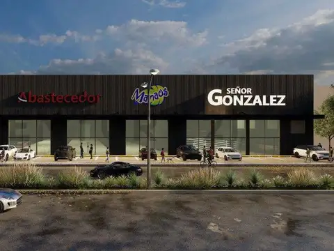 Hipolito irigoyen 100, Piso 0