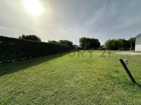 31 esquina 524 , Piso 0