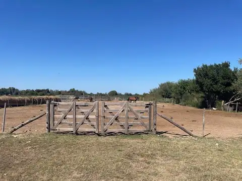 Excelente chacra con muchas mejoras