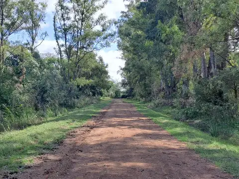Etchegoyen y El Estribo
