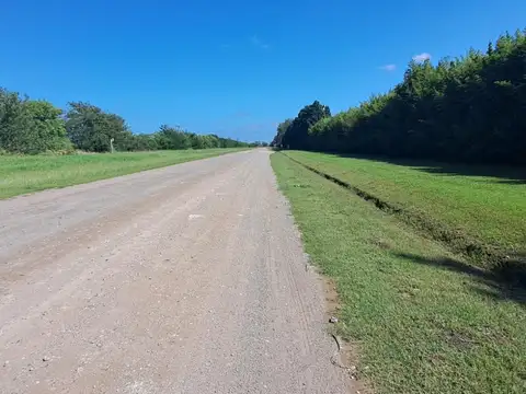 Terreno en Venta de 10000,0 m2