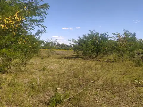 Terreno en venta - 10.000Mts2 - El Remanso, Exaltación de La Cruz