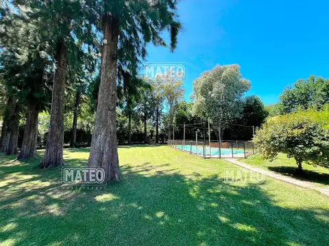 DESTACADA QUINTA EN FRANCISCO ALVAREZ