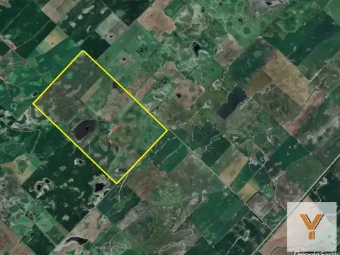Campo en venta - 258 Hectáreas - Bolívar