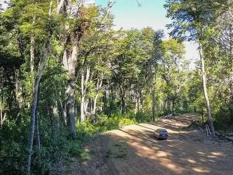 TERRENO 4500M2 APTO 2 UF LOTEO LOMA GUACHA