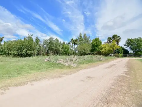Terreno en Venta en Joaquín Gorina, Partido de La Plata