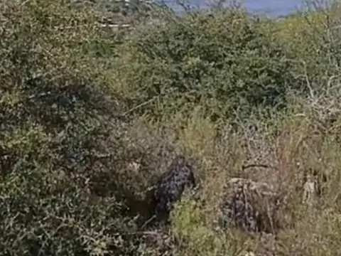 Terreno en Venta en Dique los Molinos, USD 57.990