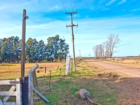 Campo en Venta Chacra