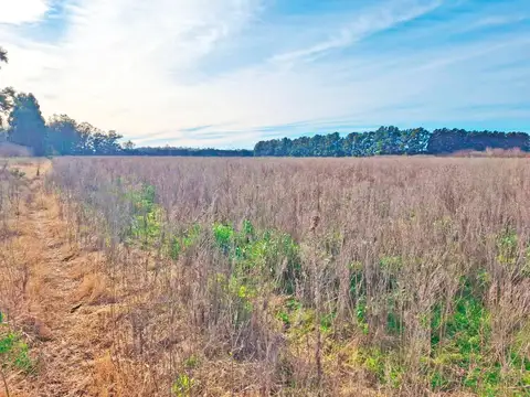 Campo en Venta Chacra
