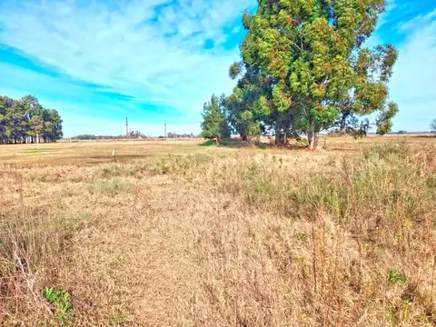 Chacra en San Pedro 11.8 ha / Prod intensiva y fin de semana