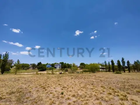 RUTA 11 KM 363, Oliveros, Santa Fe 100