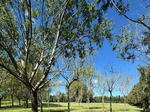 Terreno en Venta en EL RETIRO BARRIO CERRADO, USD 24.000