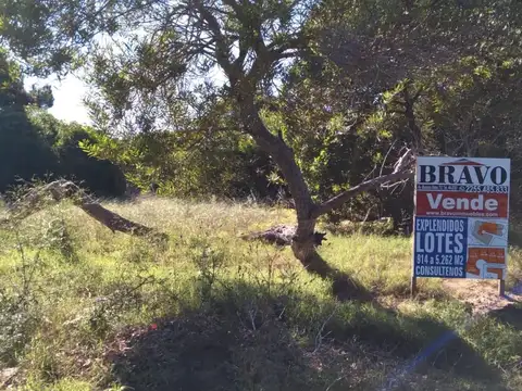 Terreno en Venta en Villa Gesell, USD 100
