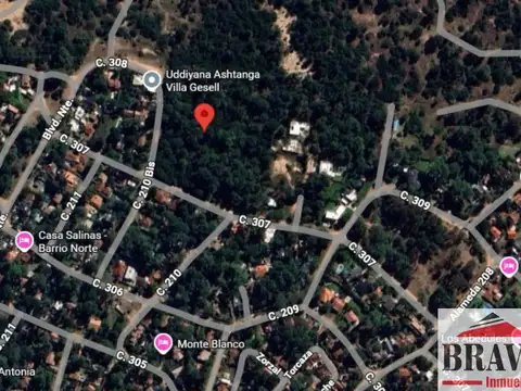 Calle 311 y Alameda 206 100