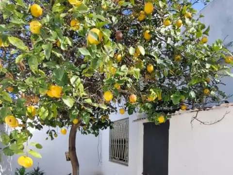 Venta PH SIN EXPENSAS 3 AMB  en VILLA BOSCH, Tres de Febrero