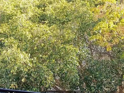 Luminoso 2 amb a estrener