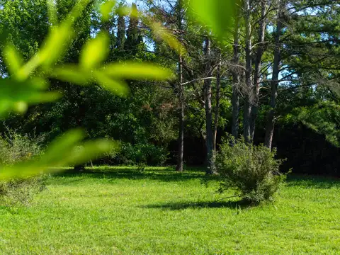 Terreno en Venta 42  mts Fondo