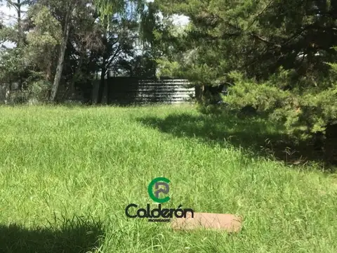 Las Rosas Y Los Abetos 3000, Francisco Álvarez, Moreno, Bs.as. G.b.a. Oeste 3000