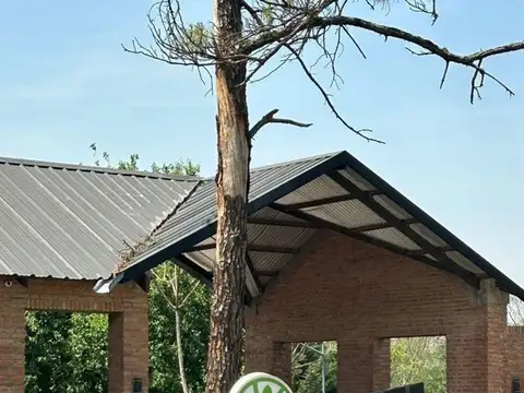 Ruta Provincial 305 100